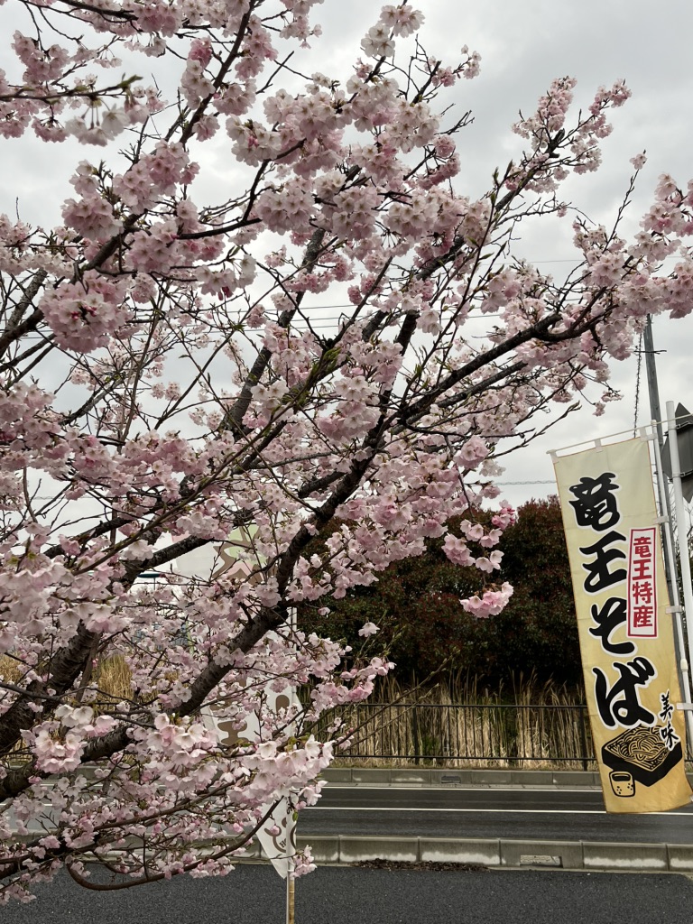 道の駅 アグリパーク竜王の写真
