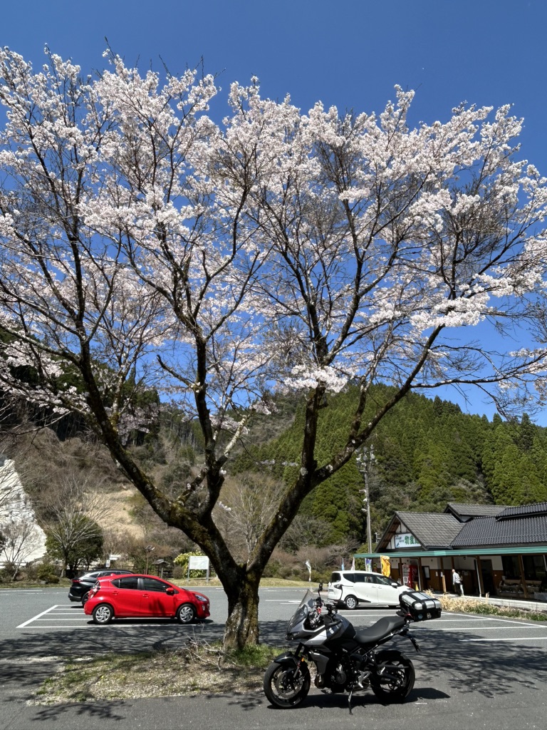 道の駅 せせらぎ郷かみつえの写真