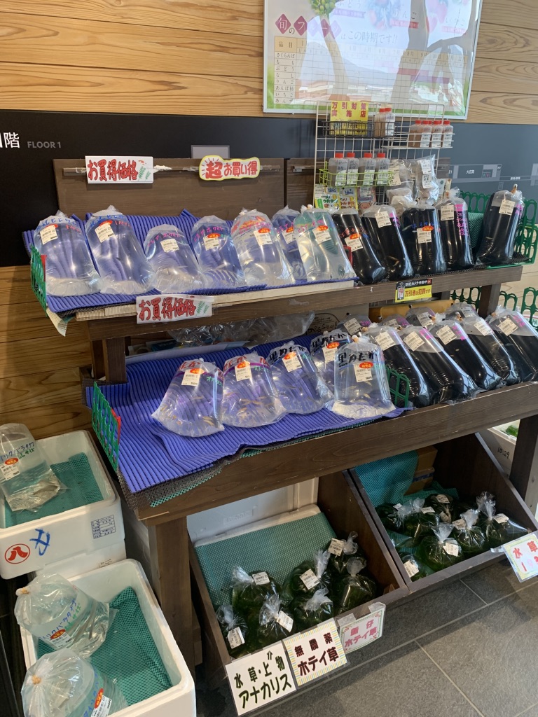 道の駅 国見 あつかしの郷の写真