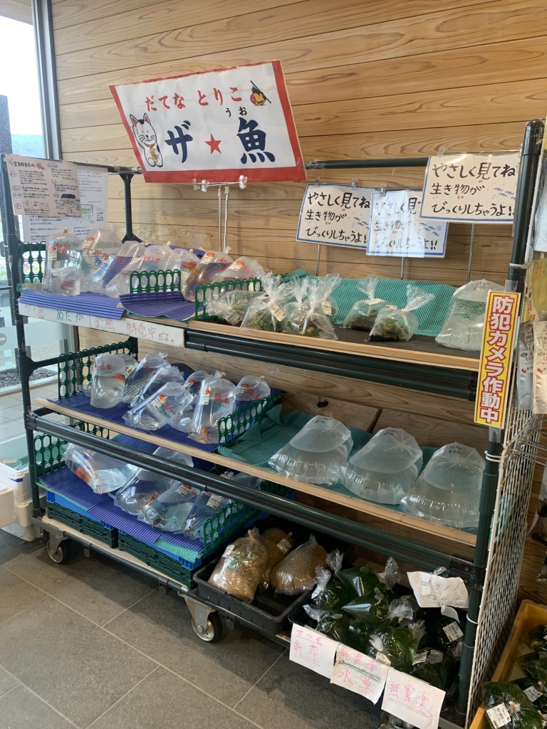 道の駅 国見 あつかしの郷の写真