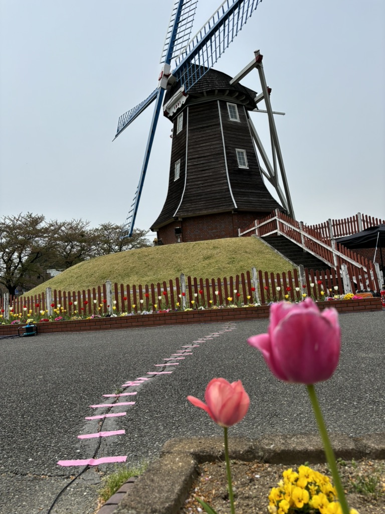 道の駅 ぐりーんふらわー牧場・大胡の写真