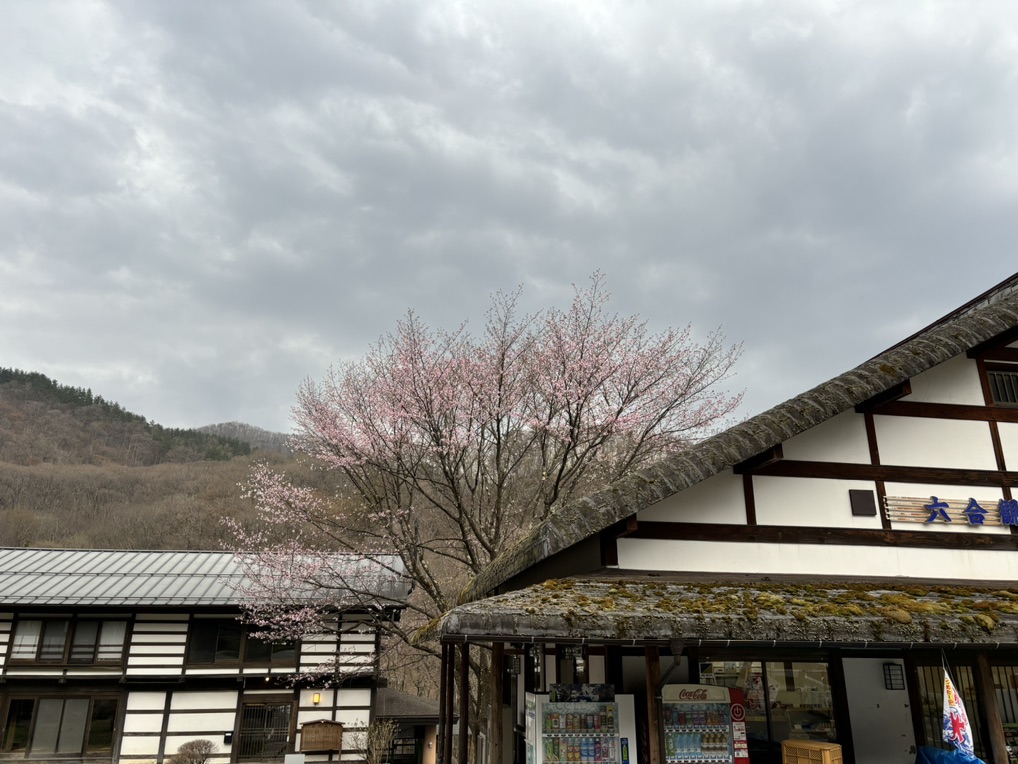 道の駅 六合の写真