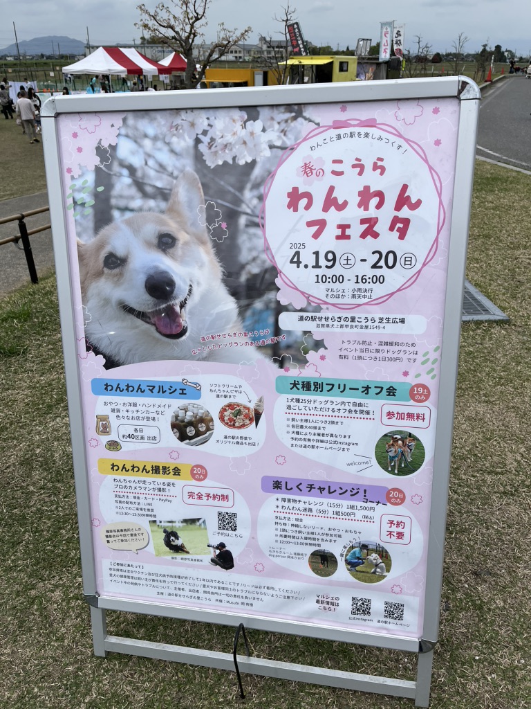 道の駅 せせらぎの里こうらの写真