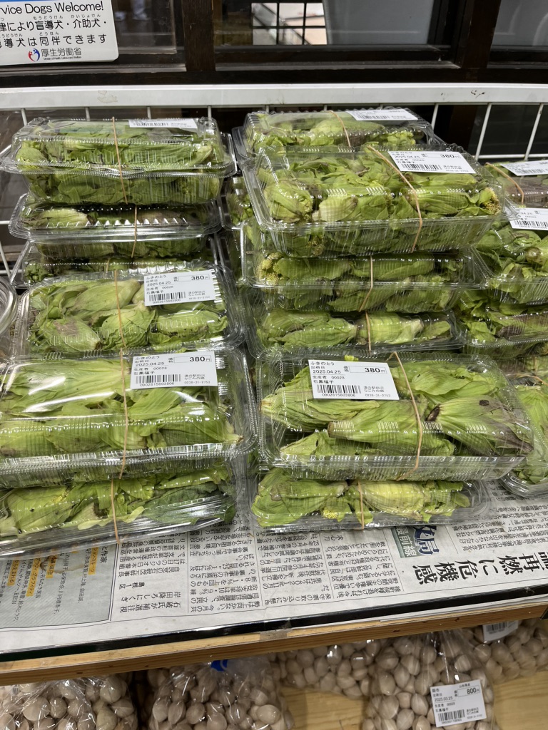道の駅 田沢の写真