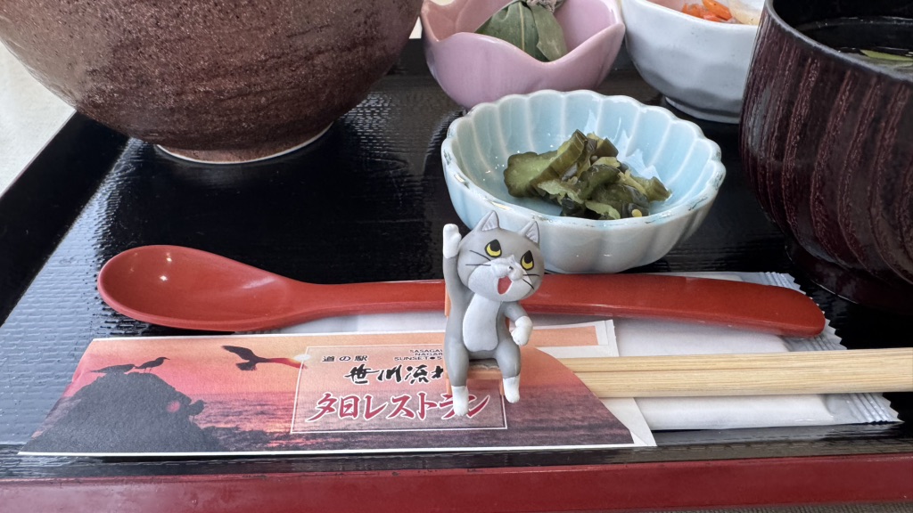 道の駅 笹川流れの写真