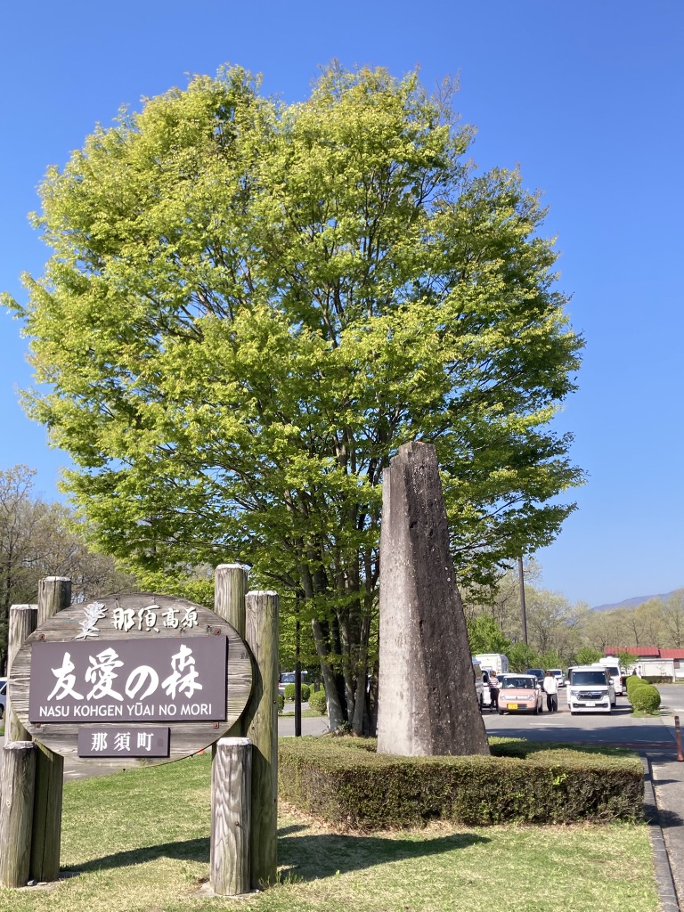 道の駅 那須高原友愛の森の写真