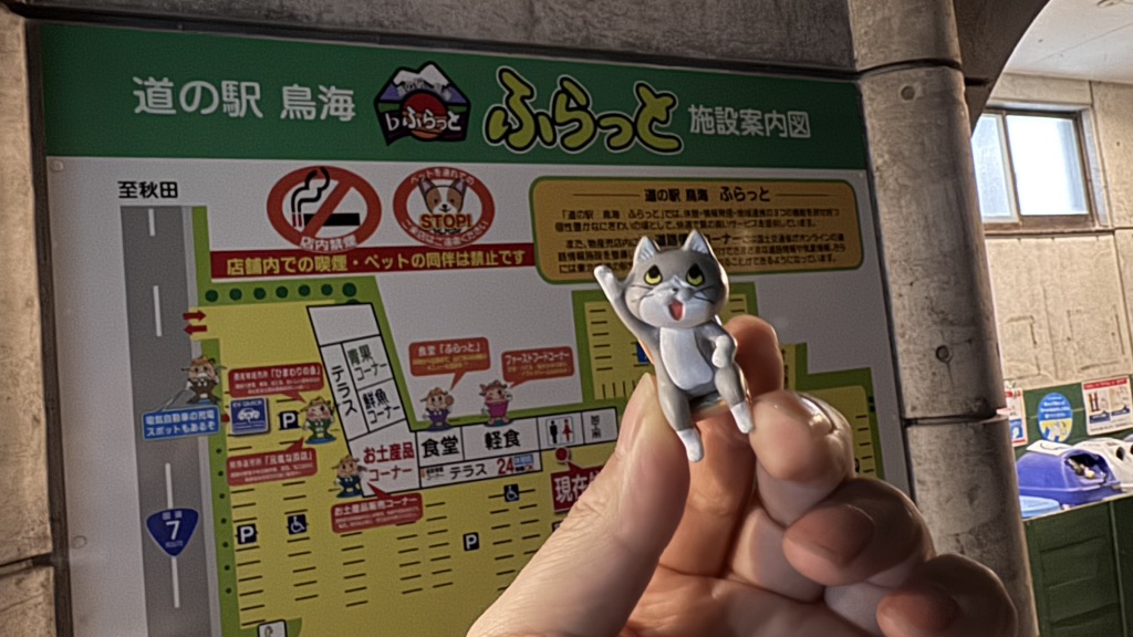 道の駅 鳥海の写真