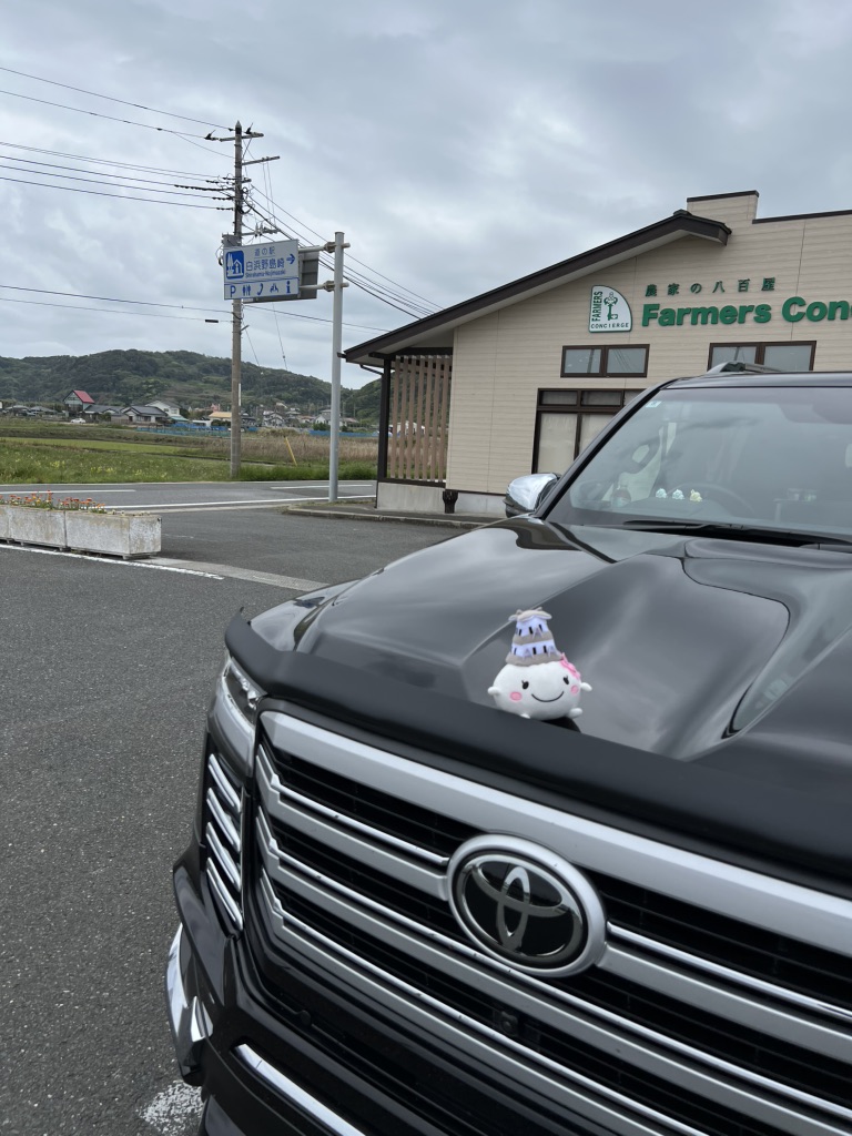 道の駅 白浜野島崎の写真