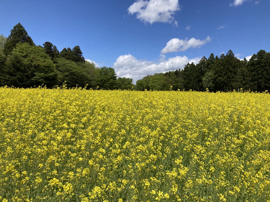 道の駅 明治の森・黒磯の写真