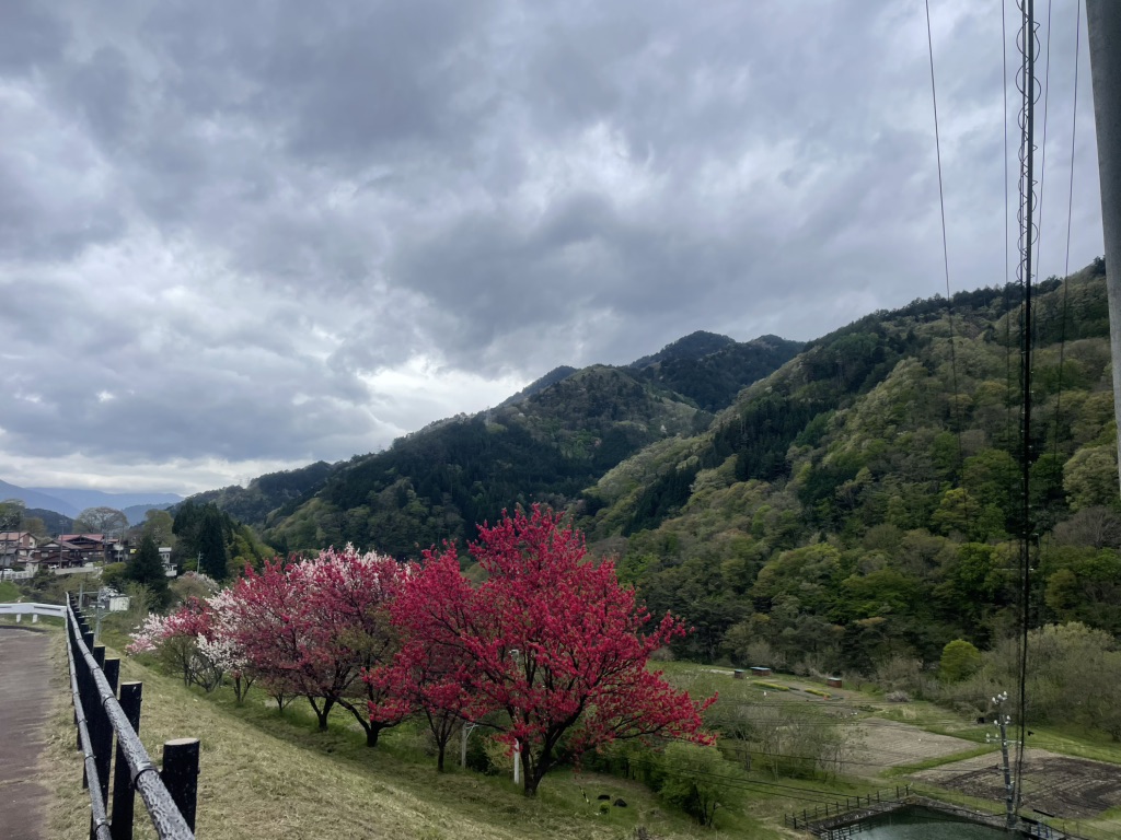 道の駅 木曽福島の写真