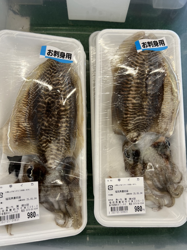 道の駅 豊前おこしかけの写真