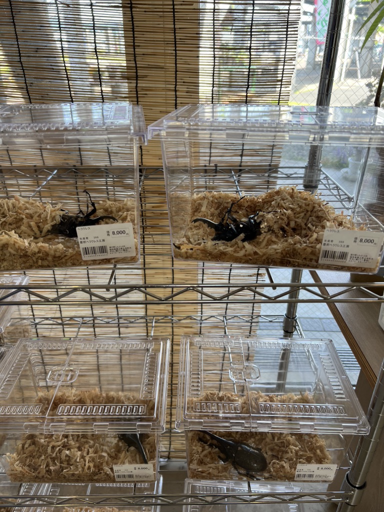 道の駅 しんよしとみの写真
