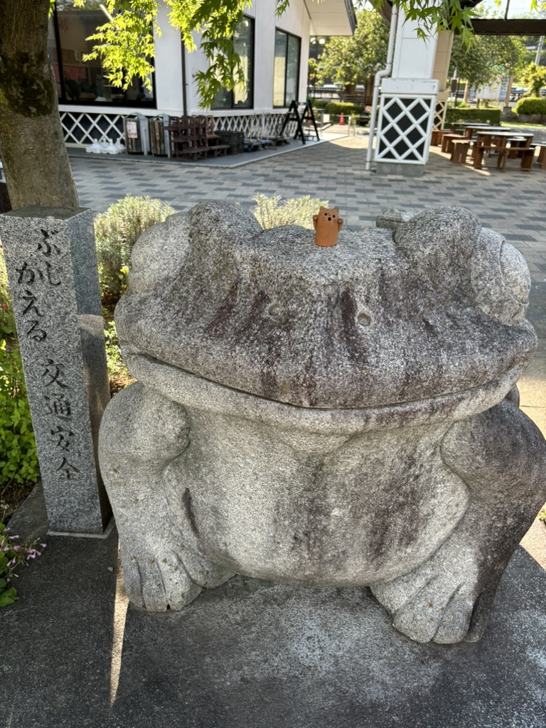 道の駅 こもちの写真
