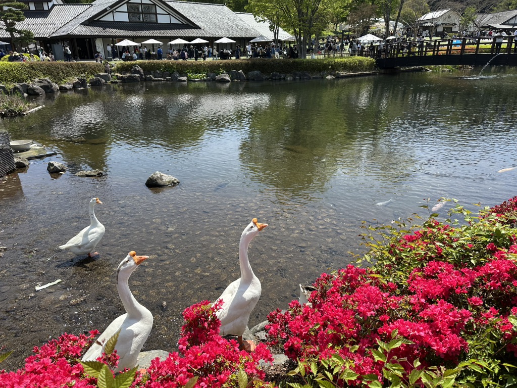 道の駅 川場田園プラザの写真