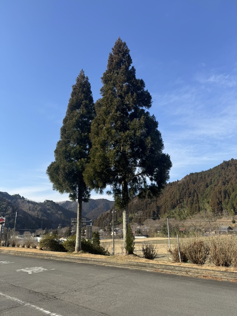 道の駅 美杉の写真