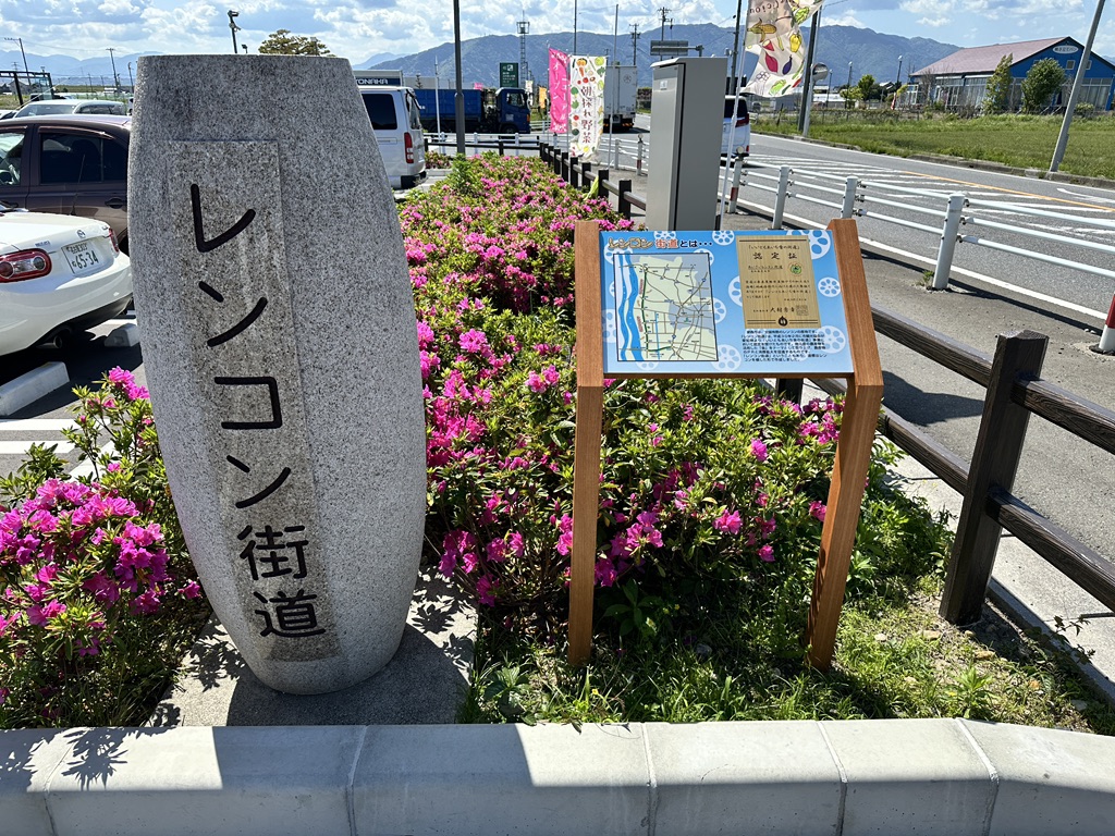 道の駅 ふれあいの里HASUパークの写真