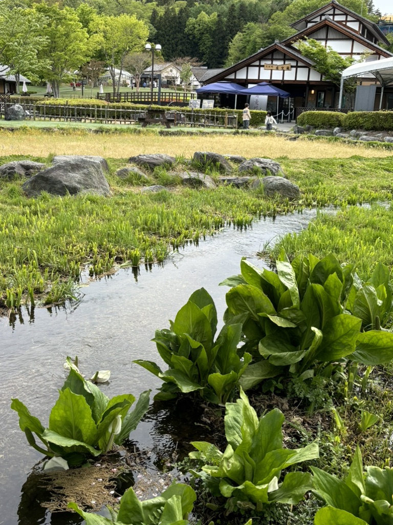 道の駅 川場田園プラザの写真
