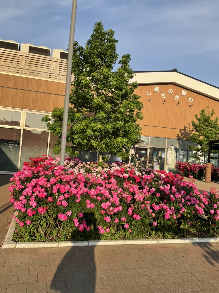 道の駅 いちかわの写真