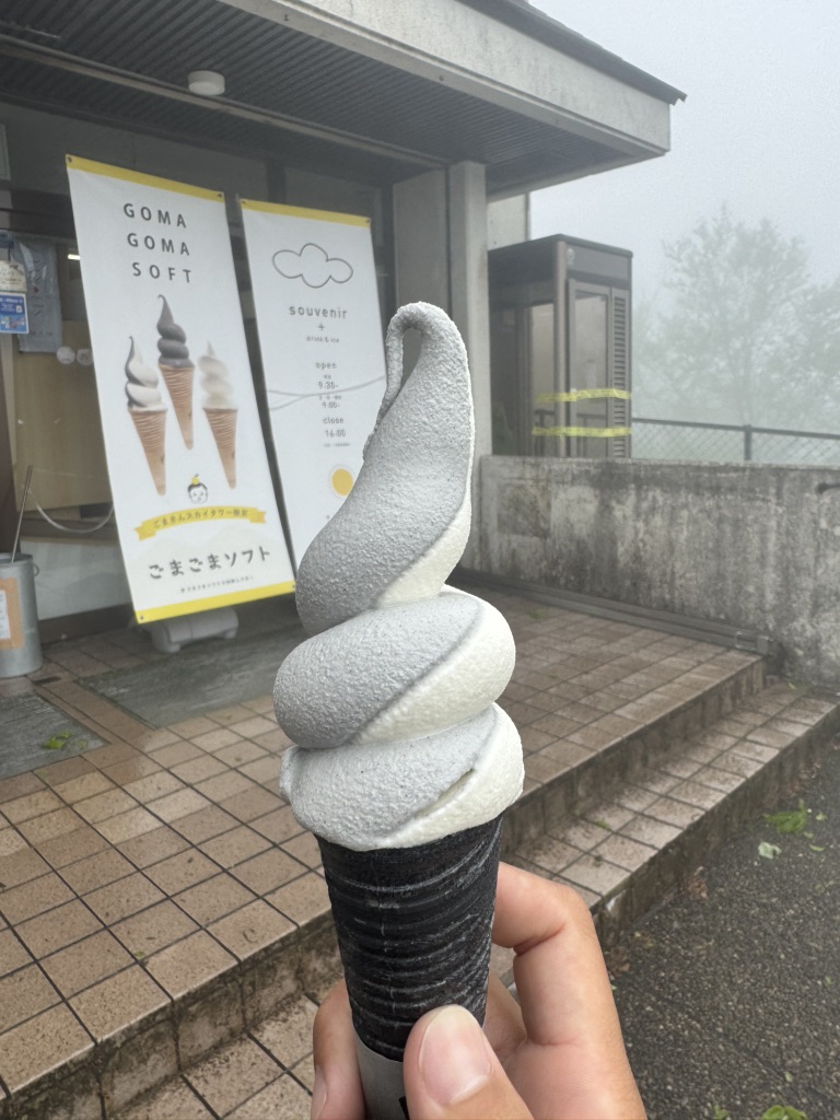 道の駅 田辺市龍神ごまさんスカイタワーの写真