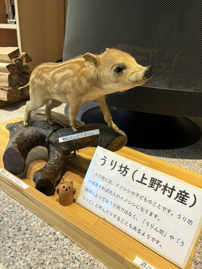 道の駅 上野の写真