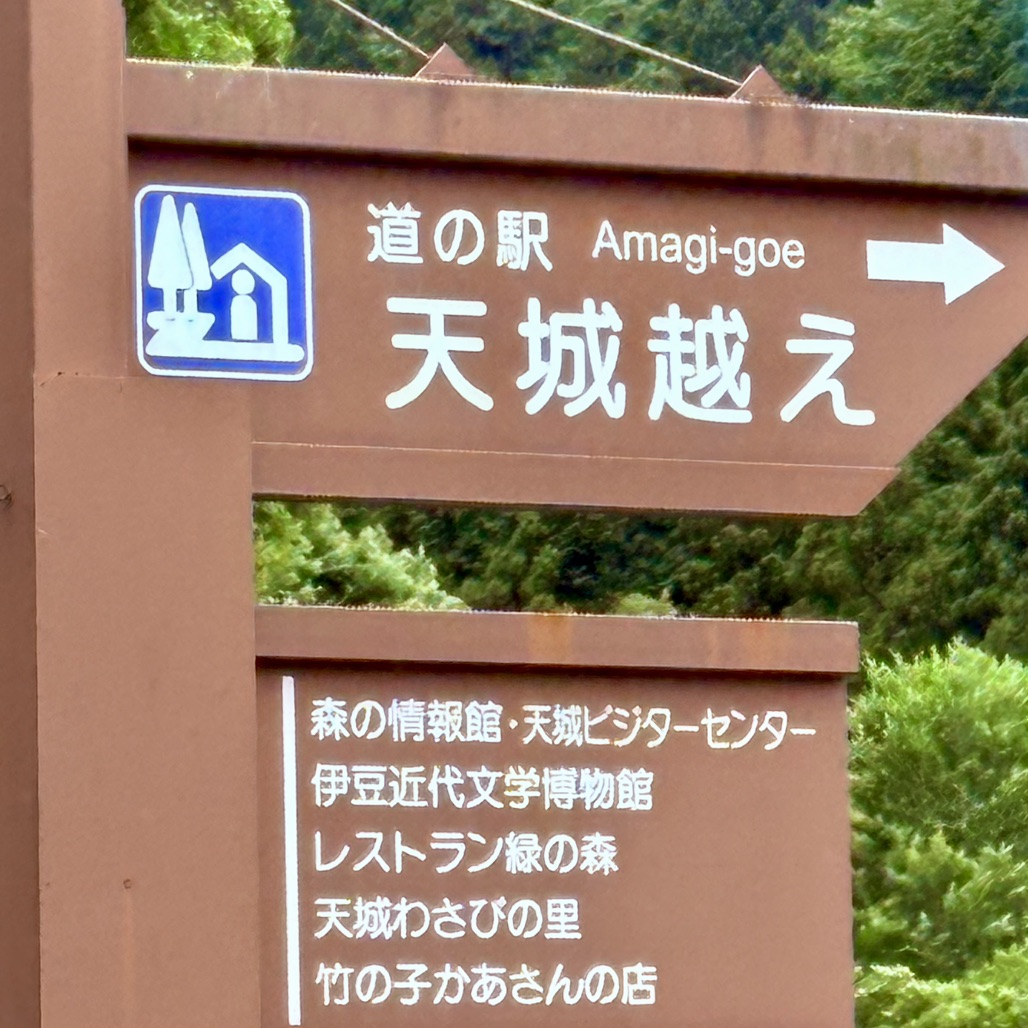 道の駅 天城越えの写真