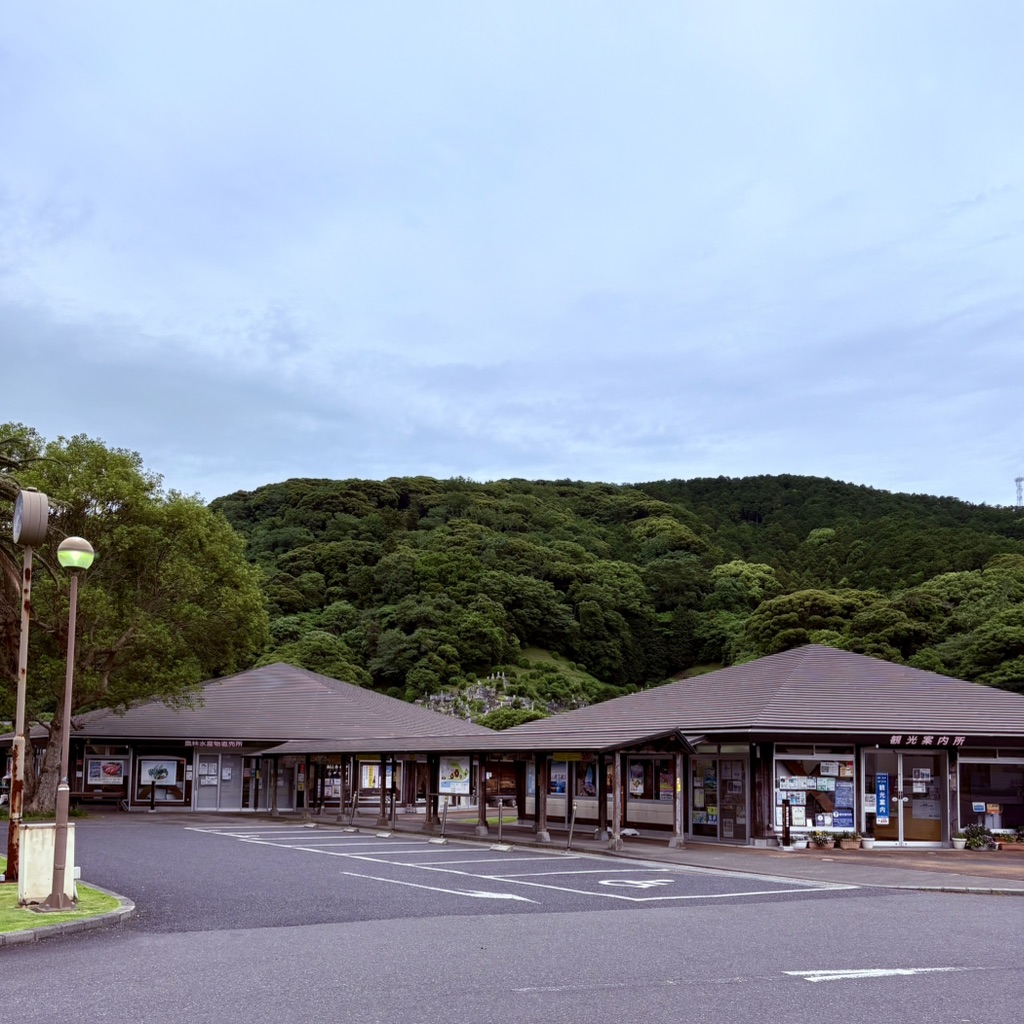道の駅 下賀茂温泉　湯の花の写真