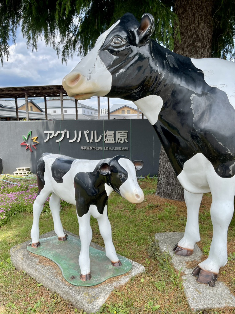 道の駅 湯の香しおばらの写真