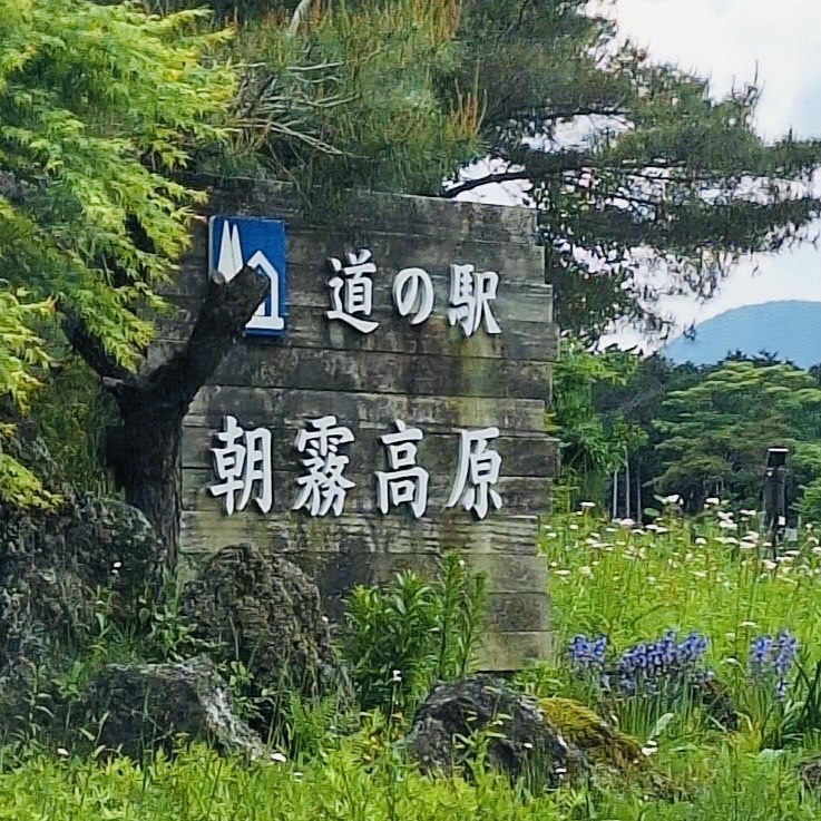 道の駅 朝霧高原の写真