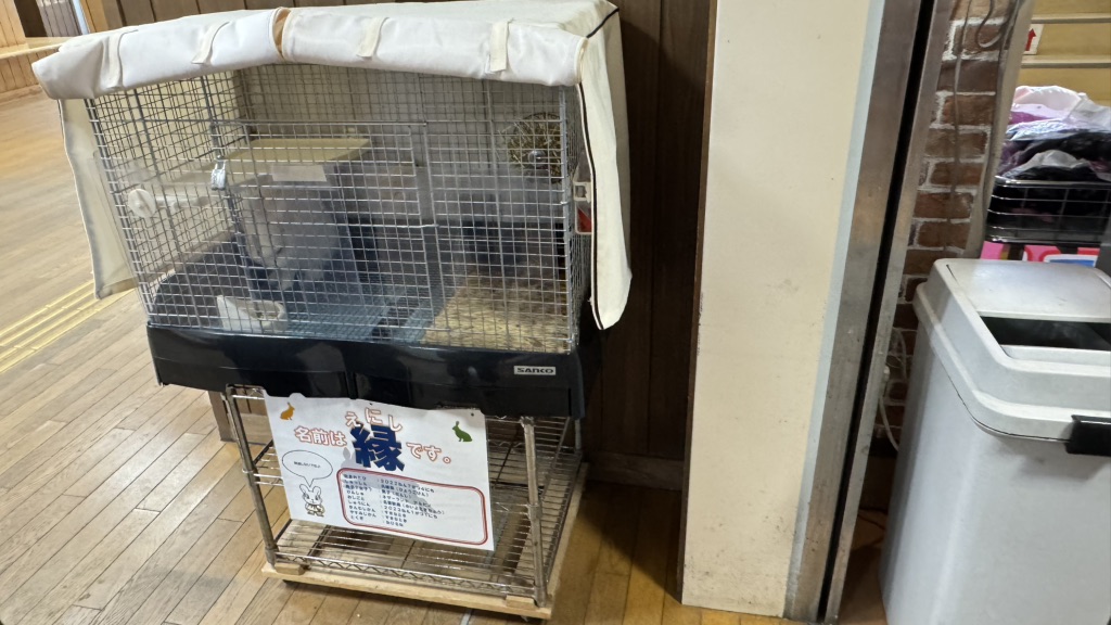 道の駅 神話の里　白うさぎの写真