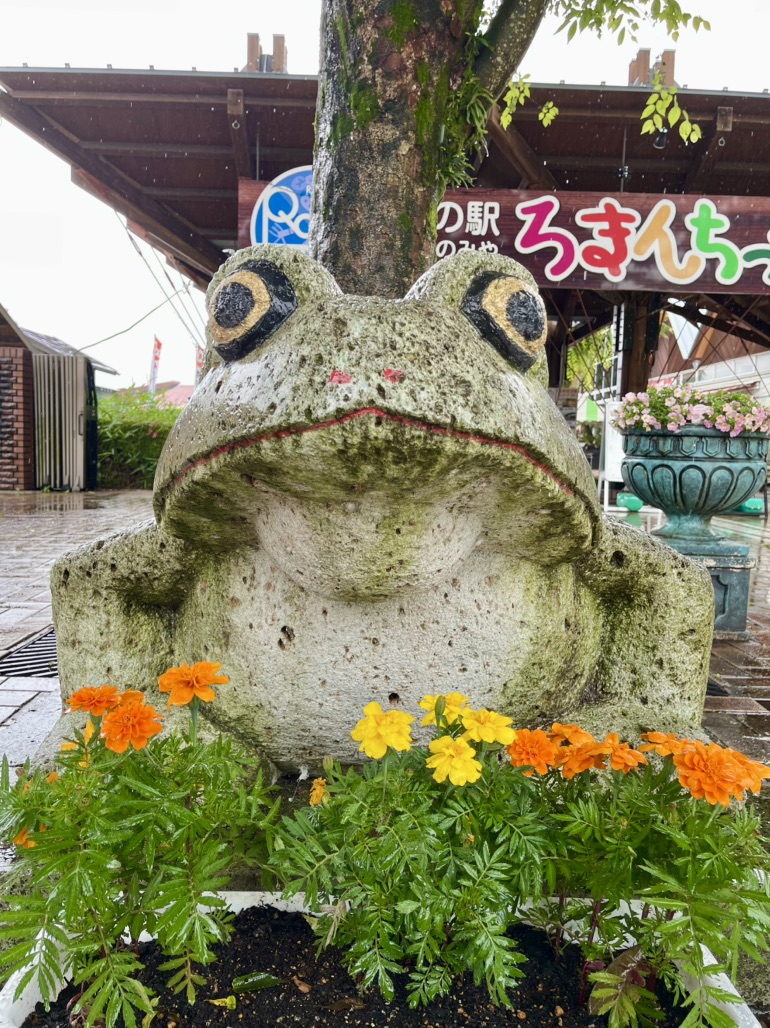 道の駅 うつのみや　ろまんちっく村の写真