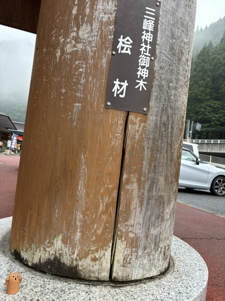 道の駅 大滝温泉の写真