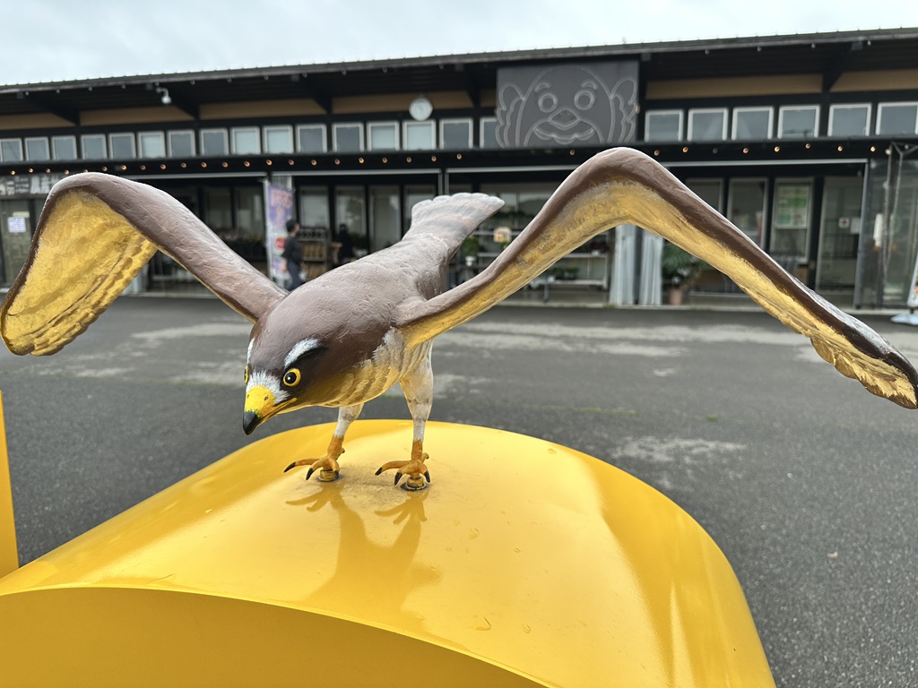 道の駅 サシバの里いちかいの写真