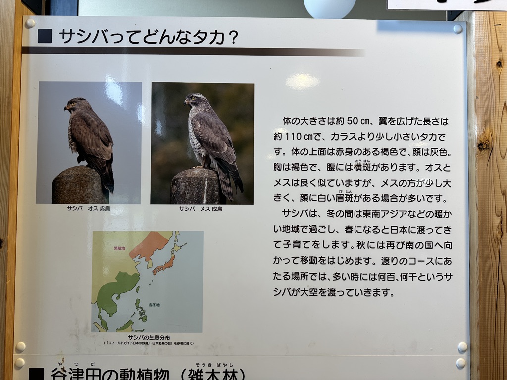 道の駅 サシバの里いちかいの写真