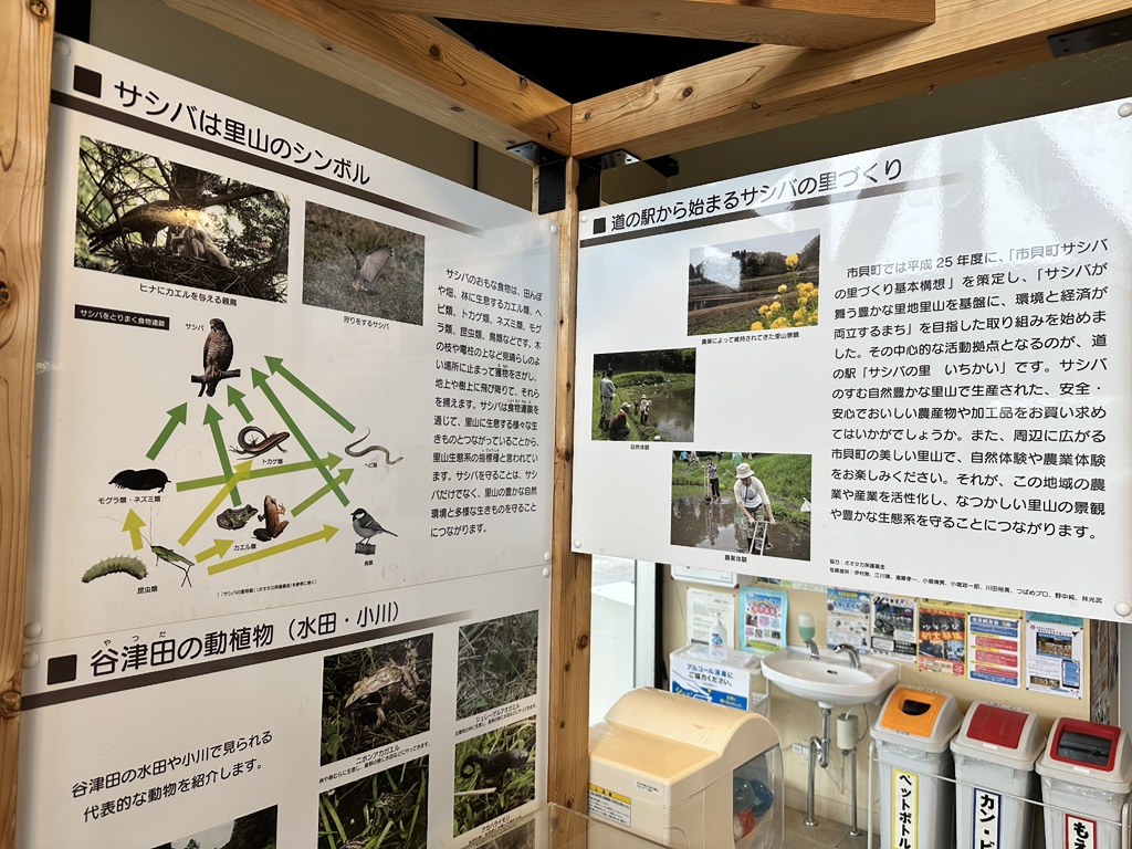 道の駅 サシバの里いちかいの写真