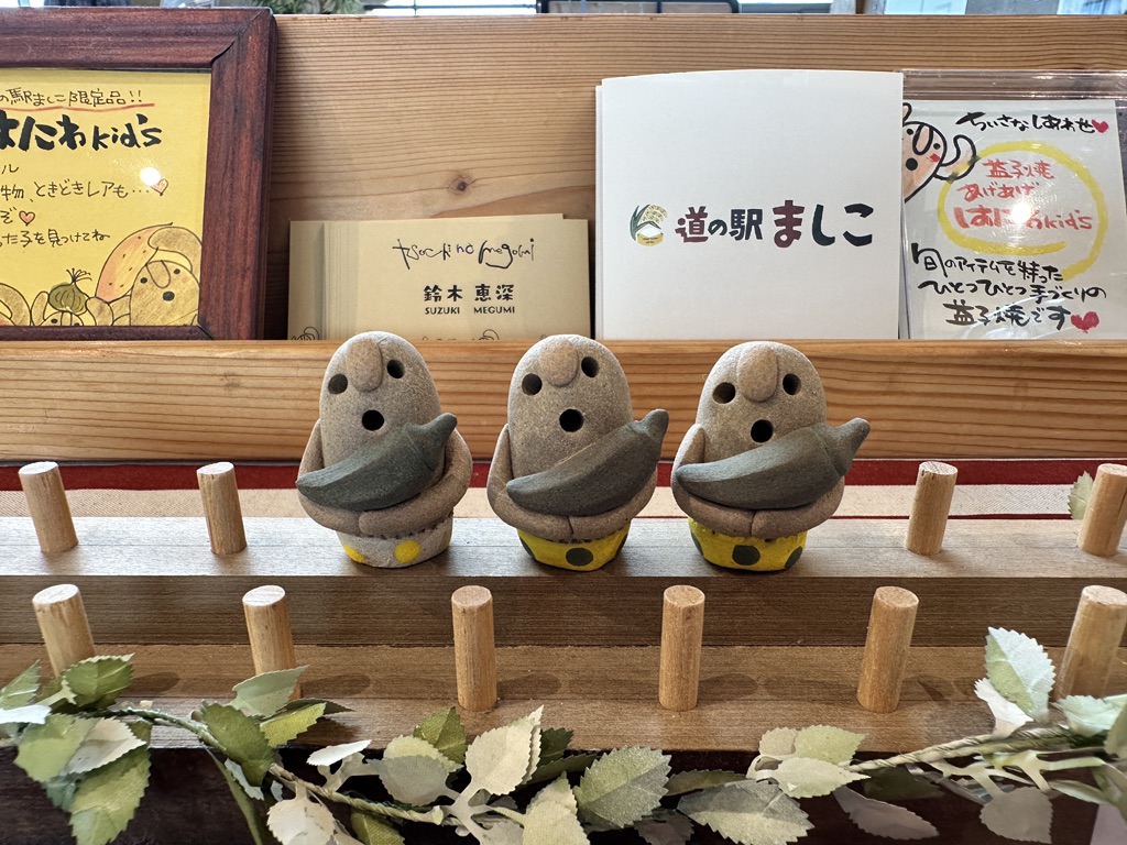 道の駅 ましこの写真