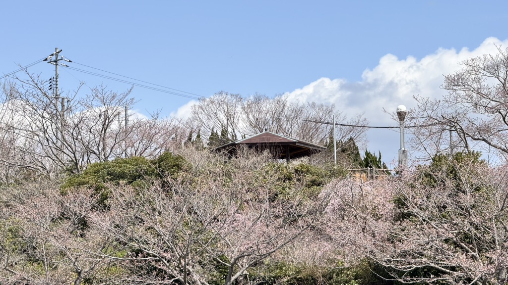 道の駅 一本松展望園の写真