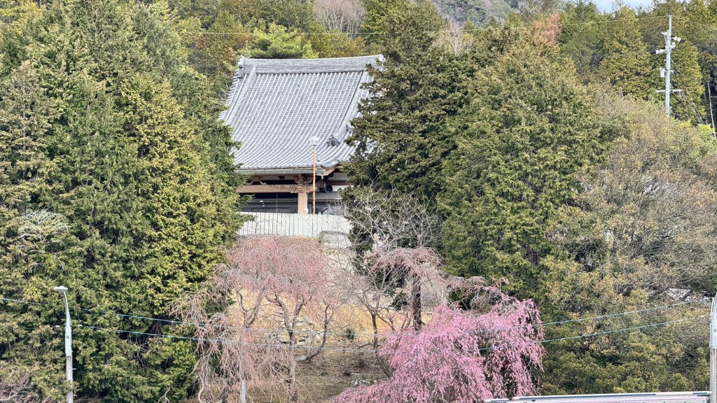 道の駅 黒井山グリーンパークの写真