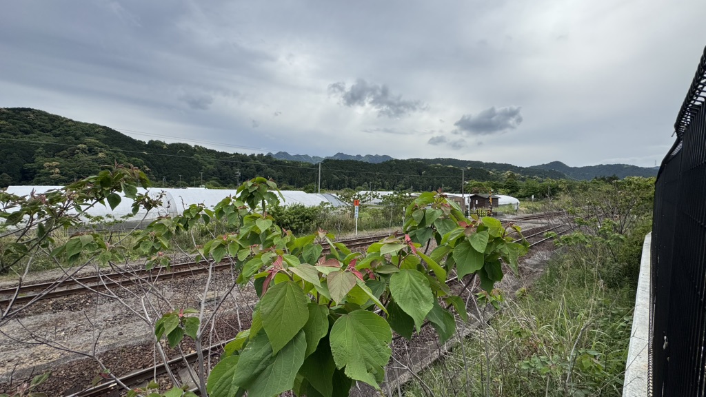 道の駅 関宿の写真
