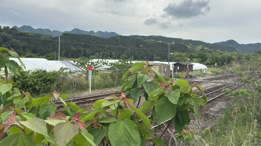 道の駅 関宿の写真