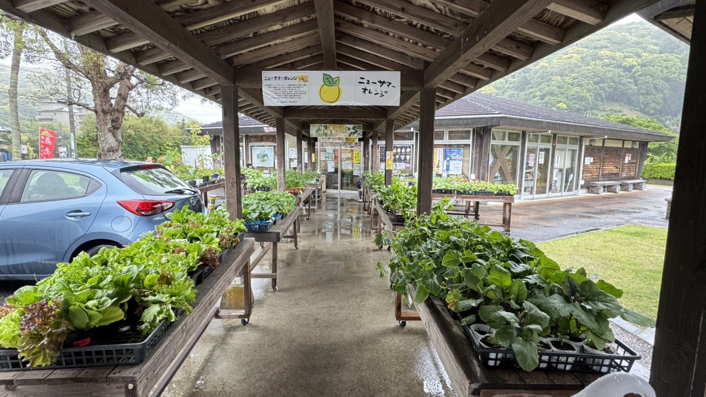 道の駅 下賀茂温泉　湯の花の写真