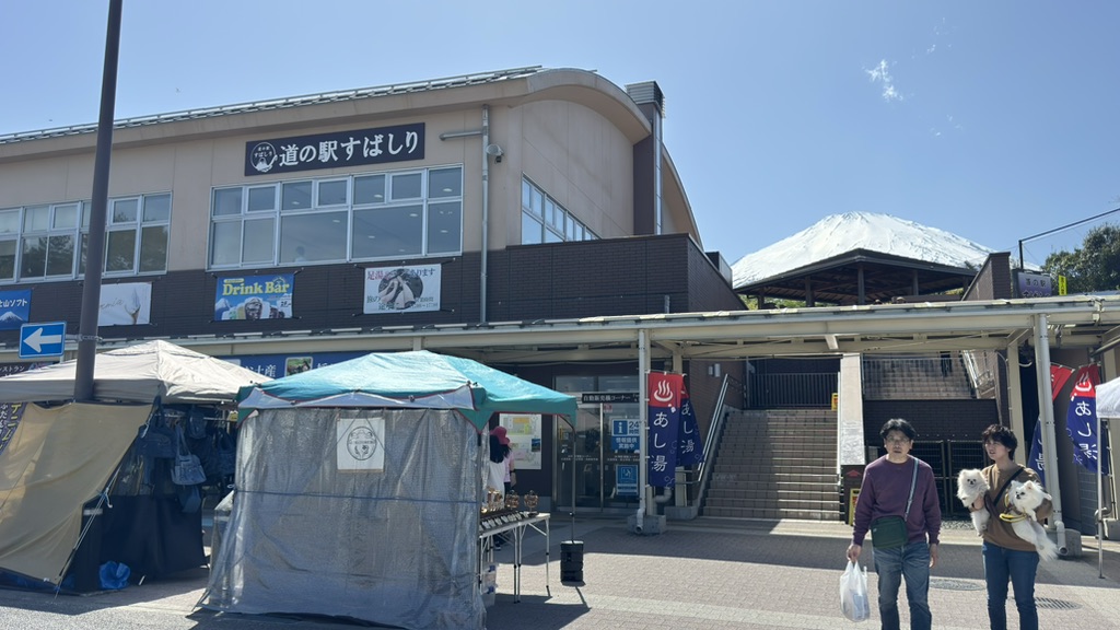 道の駅 すばしりの写真