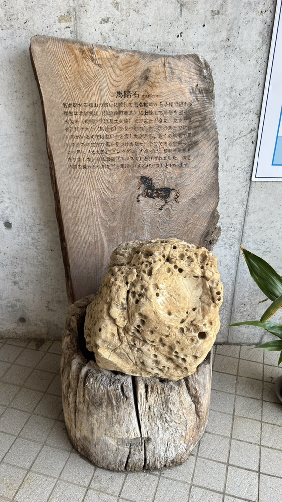 道の駅 鴨川オーシャンパークの写真
