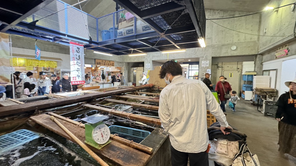 道の駅 ちくら・潮風王国の写真