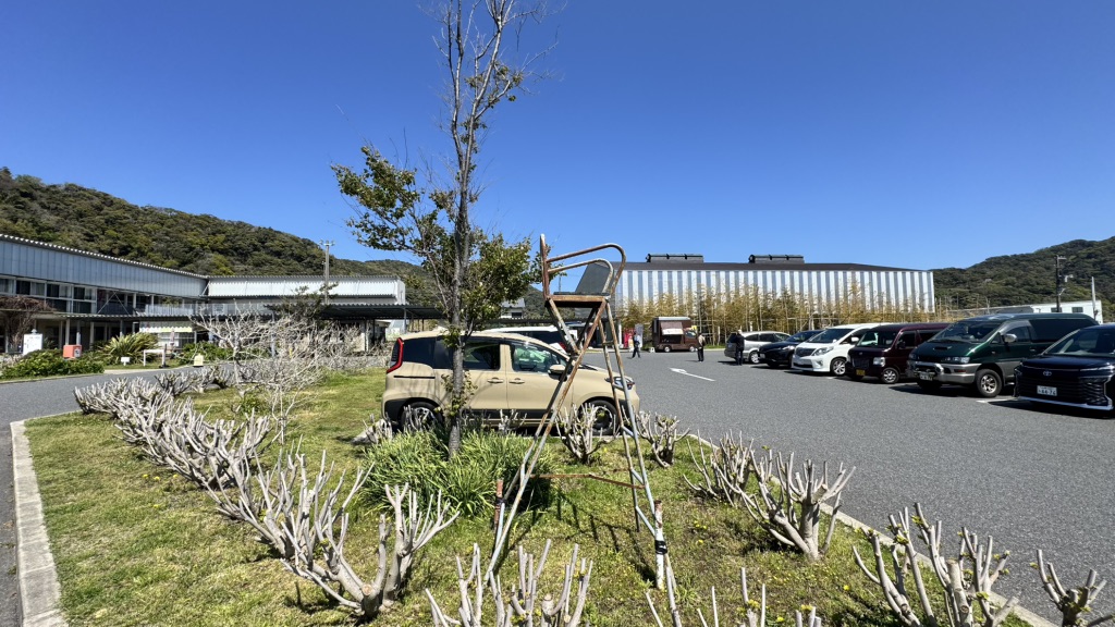 道の駅 保田小学校の写真