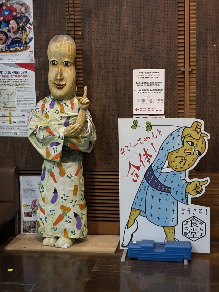 道の駅 やちよの写真