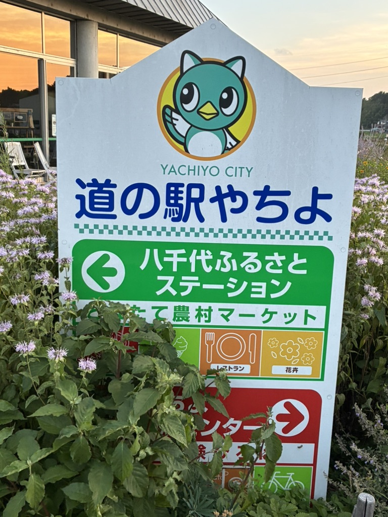 道の駅 やちよの写真