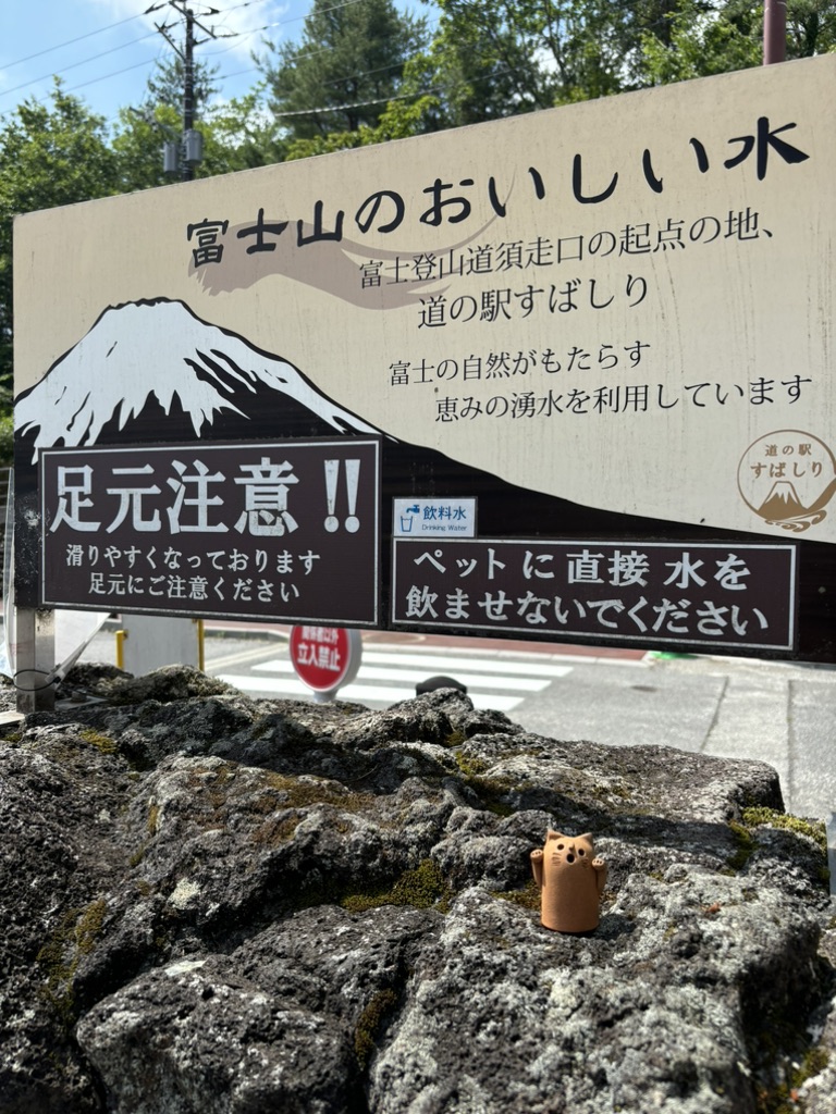 道の駅 すばしりの写真
