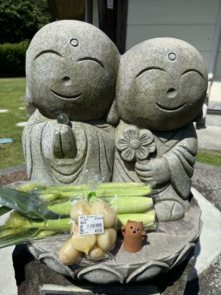 道の駅 下賀茂温泉　湯の花の写真