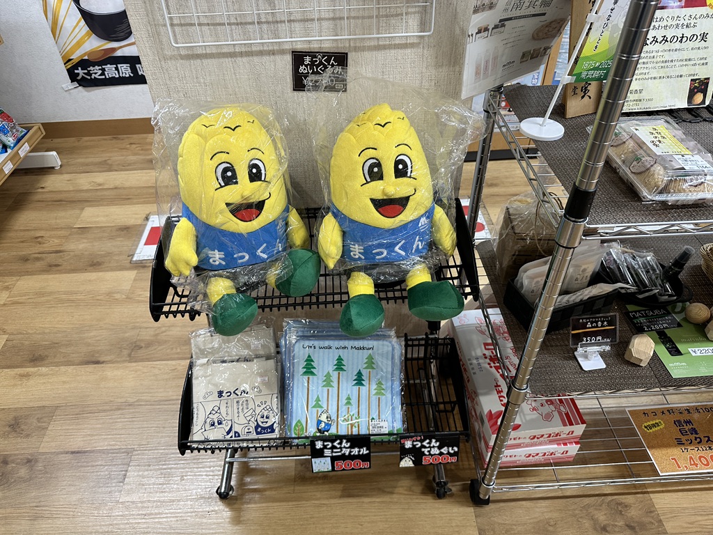 道の駅 大芝高原の写真