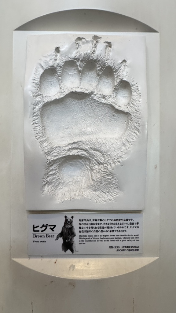 道の駅 うとろ・シリエトクの写真